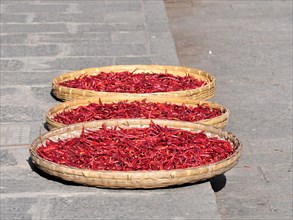 Dryed red hot chilly pepper, china