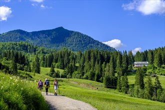 Hikers at the Valeppalm near the Albert Link Huette, Spitzingsee area, Bayerische Hausberge, Alps,