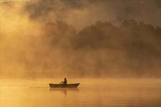 Fisherman in morning light on lake, fog, backlight, fishing, Lake Kochel, Alpine foothills,