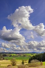 Moor landscape with cumulus, cumulus, cumulus clouds and alpine chain near Wildpoldsried, Allgaeu,