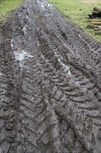 Tractor tyre tracks in softened soil on a farm, Mecklenburg-Vorpommern, Germany, Europe