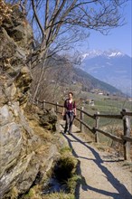 Partschinser Waalweg, Partschinser Sagenweg, Partschins, Vinschgau Valley, South Tyrol, Italy,