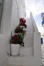 Red flowers, stair, greece