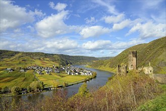 View of the ruins of Metternich Castle near Beilstein and the wine village of Ellenz-Poltersdorf,