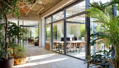 Airy office with a view of the greenery thanks to floor-to-ceiling windows and natural wood