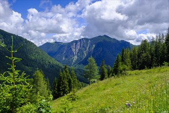 Am Stuempfling, Spitzingsee area, Bavarian local mountains, Alps, Upper Bavaria, Bavaria, Germany,