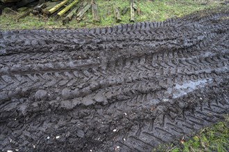 Tractor tracks on sodden ground on an estate, Othenstorf, Mecklenburg-Vorpommern, Germany, Europe