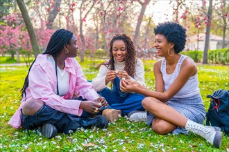 African friends chatting sitting on a park full of flowers on the grass in spring