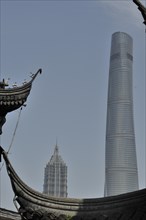 Shanghai city view, skyscraper, china