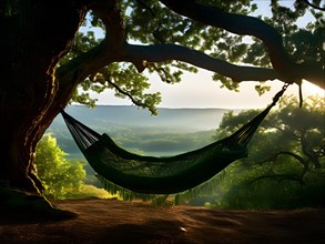 Hammock suspended emerald rope swaying gently cradling tranquility, AI generated