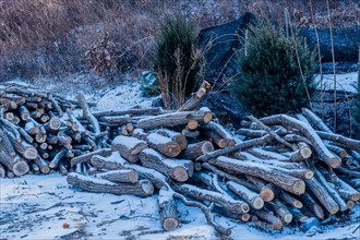 A woodpile covered in snow in a cold winter setting, in South Korea