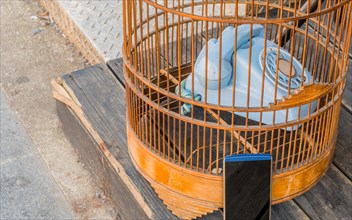Modern smart phone sitting outside, blue rotary phone sitting inside birdcage on wooden step in