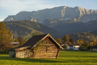 Hay barn with meadow and Wetterstein mountains in the evening light, Garmisch-Partenkirchen,