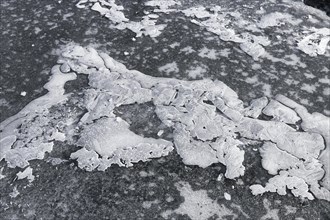 Winter, ice pattern on frozen river, Province of Quebec, Canada, North America