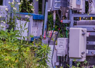 Outdoor telecommunications equipment surrounded by lush vegetation, in South Korea