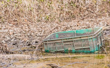A green plastic crate abandoned in a muddy puddle, in South Korea