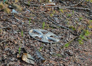 A discarded metallic hubcap lies on the forest floor, surrounded by twigs and leaves, in South