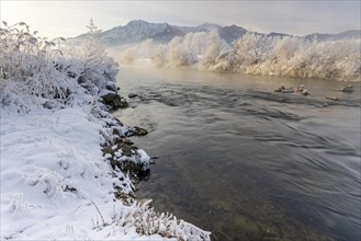 River in the morning light in front of mountains, winter, hoarfrost, Loisach, view of Herzogstand