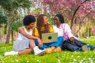 Happy african female friends using laptop sitting on a park in spring