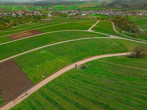 Aerial view of empty paths between green vineyard fields, village in the background, Jesus Grace