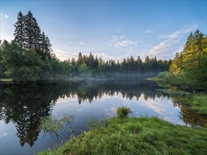 Small lake in the Thuringian Forest in the morning light, spruce forest reflected, Thuringia,