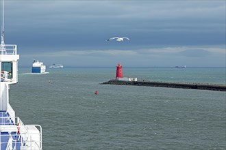 Ferries, flying seagull, lighthouse, harbour entrance, Dublin, Republic of Ireland