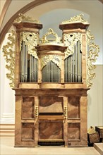 St Kilian's Cathedral, St Kilian's Cathedral, Wuerzburg, Baroque church organ with gold decoration,