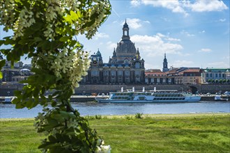 Church of Our Lady and Bruehl's Terrace seen from the opposite bank of the Elbe, Dresden, Saxony,