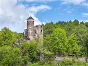 Ruins of Hallenburg Castle, Steinbach-Hallenberg, Thuringian Forest, Thuringia, Germany, Europe