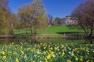 Blooming tulips in front of the Oker and Richmond Castle, Spring, Braunschweig, Lower Saxony,
