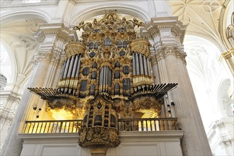 Organ, Cathedral of Santa Maria de la Encarnacion, Cathedral of Granada, Baroque organ in a church