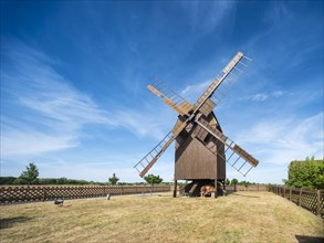 Mill, windmill, trestle windmill, Dreiheide, Saxony, Germany, Europe