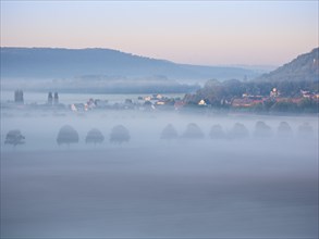 Morning fog in the Bluetengrund, Saale valley near Naumburg (Saale), Saxony-Anhalt, Germany, Europe