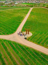 Group of people at an art installation in the middle of a green vineyard from a bird's eye view,