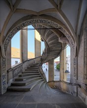 Unsupported spiral staircase in the Grosser Wendelstein stair tower, Hartenfels Castle, Torgau,