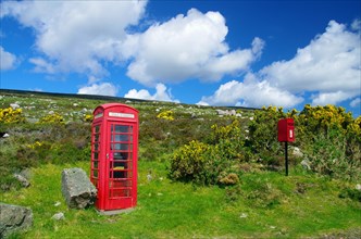 British telephone box and letterbox surrounded by flowering gorse, spring, Highlands, Scotland,
