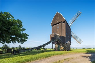 Haedicke mill, windmill, trestle windmill, Brehna, Saxony-Anhalt, Germany, Europe