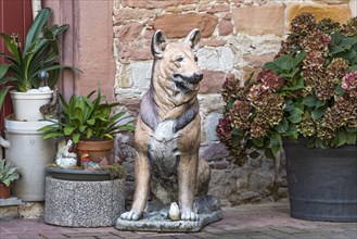 Decoration at entrance door, dog figure German Shepherd, guard dog, idyllic alley, old town,