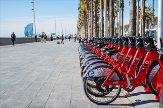 Hire bikes on the beach in Barcelona, Spain, Europe