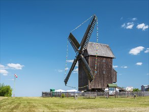Zwochau mill, trestle windmill, windmill decorated with pennants for Mill Day, Zwochau, Saxony,