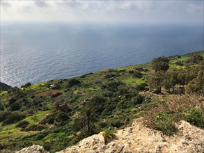 Coastal landscape in Malta, Mediterranean Sea, Republic of Malta