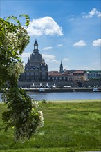 Church of Our Lady and Bruehl's Terrace seen from the opposite bank of the Elbe, Dresden, Saxony,