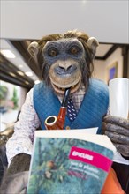 Chimpanzee puppet with pipe and champagne glass