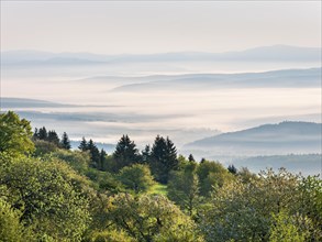 View over blossoming fruit trees to the hills of the Thuringian Rhoen at Gebaberg in the morning
