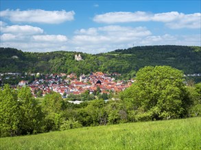 View of the town of Treffurt in the Werra Valley and Normannstein Castle, Treffurt, Thuringia,
