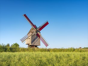 Mill, windmill, trestle windmill, Authausen, Saxony, Germany, Europe