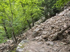 Landslide, mudflow, landslide, rockfall, buried hiking trail in the Bode Valley between Thale and
