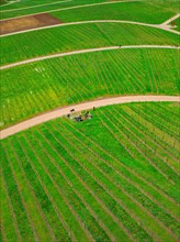 Aerial view of a winding country road meandering through green agricultural fields, Jesus Grace