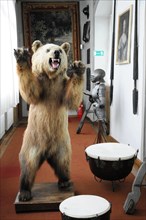Langenburg Castle, scene view in the museum with stuffed bear and armour, Langenburg Castle,