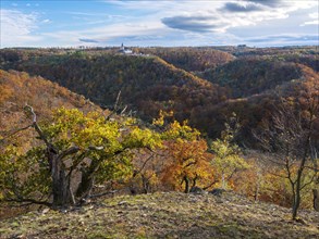 View over autumnal forests in the Selke valley, behind Falkenstein Castle, Harz Mountains,